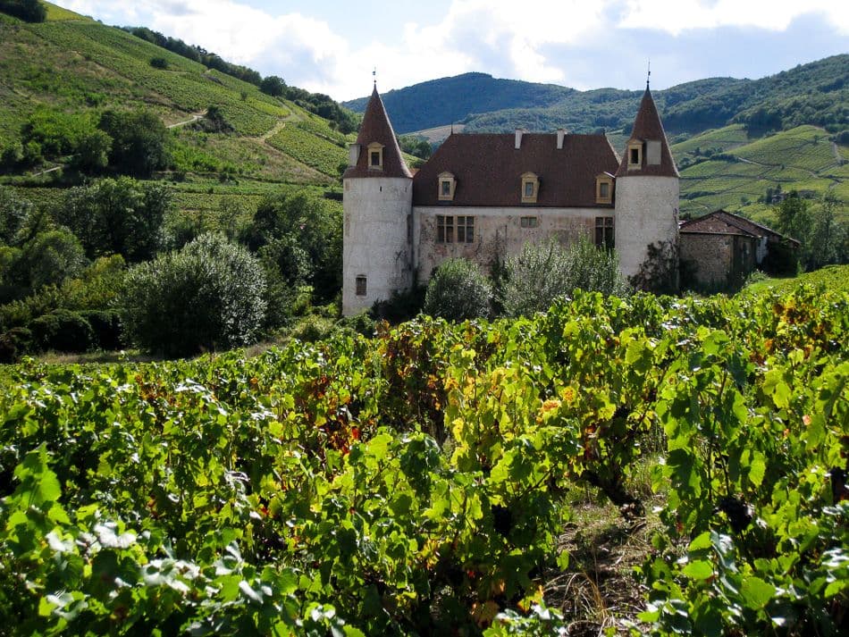 GR50-51-Beaujolais-Johan-Vandueren-IMG_1188_export_w950