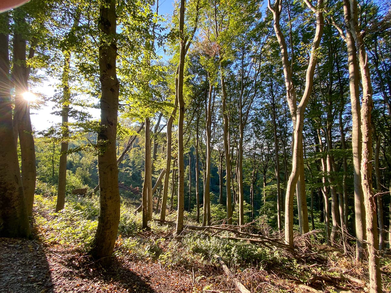 Img 3077 At1wnd Bart De Winter W1280