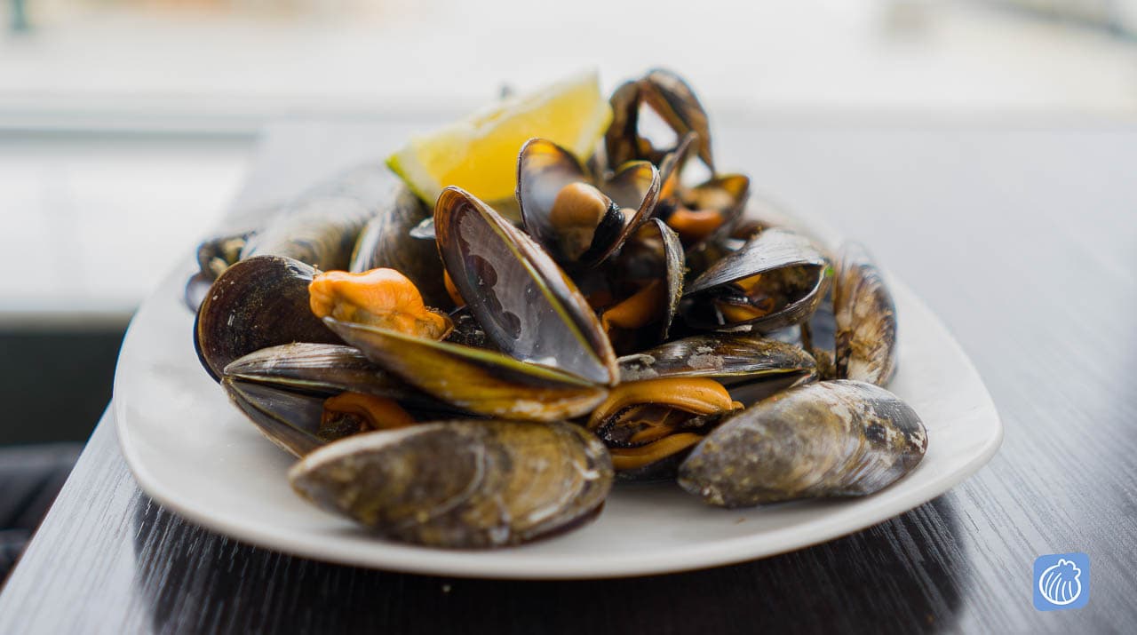 Selectie Dsc00136galiwonders LOGO ANTIGUO