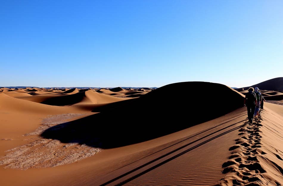 Sahara (157) Arne Vanwijnsberghe Arne Vanwijnsberghe W950