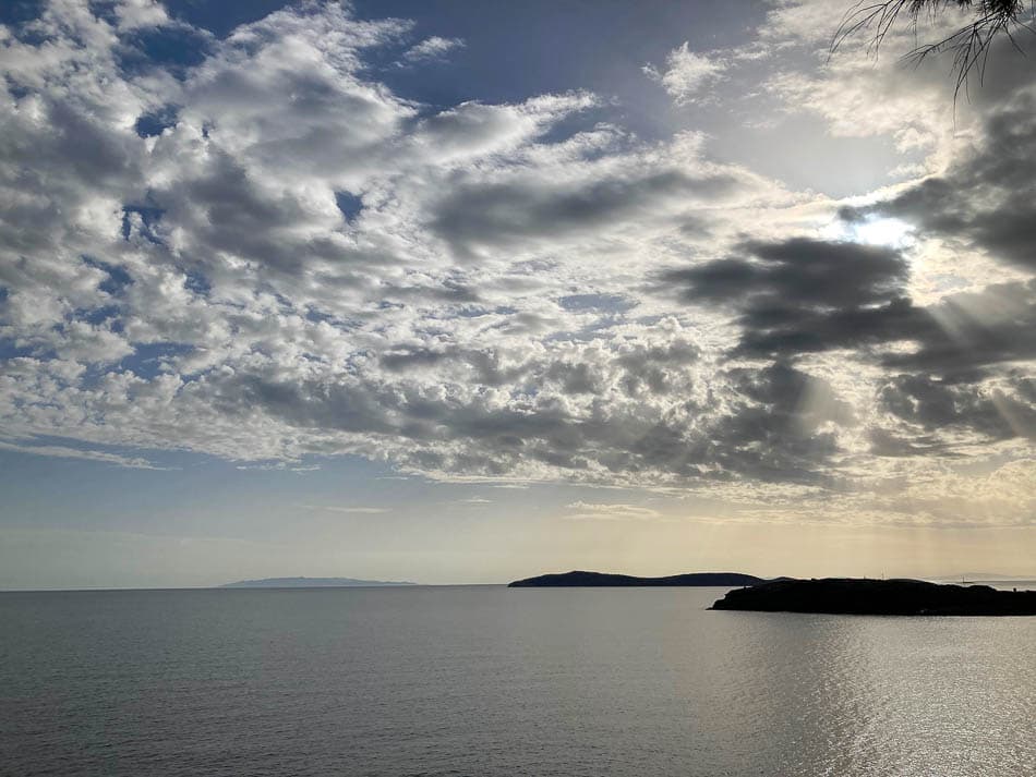 IMG 0886 Selectie Melissa Regine Temmermans W950