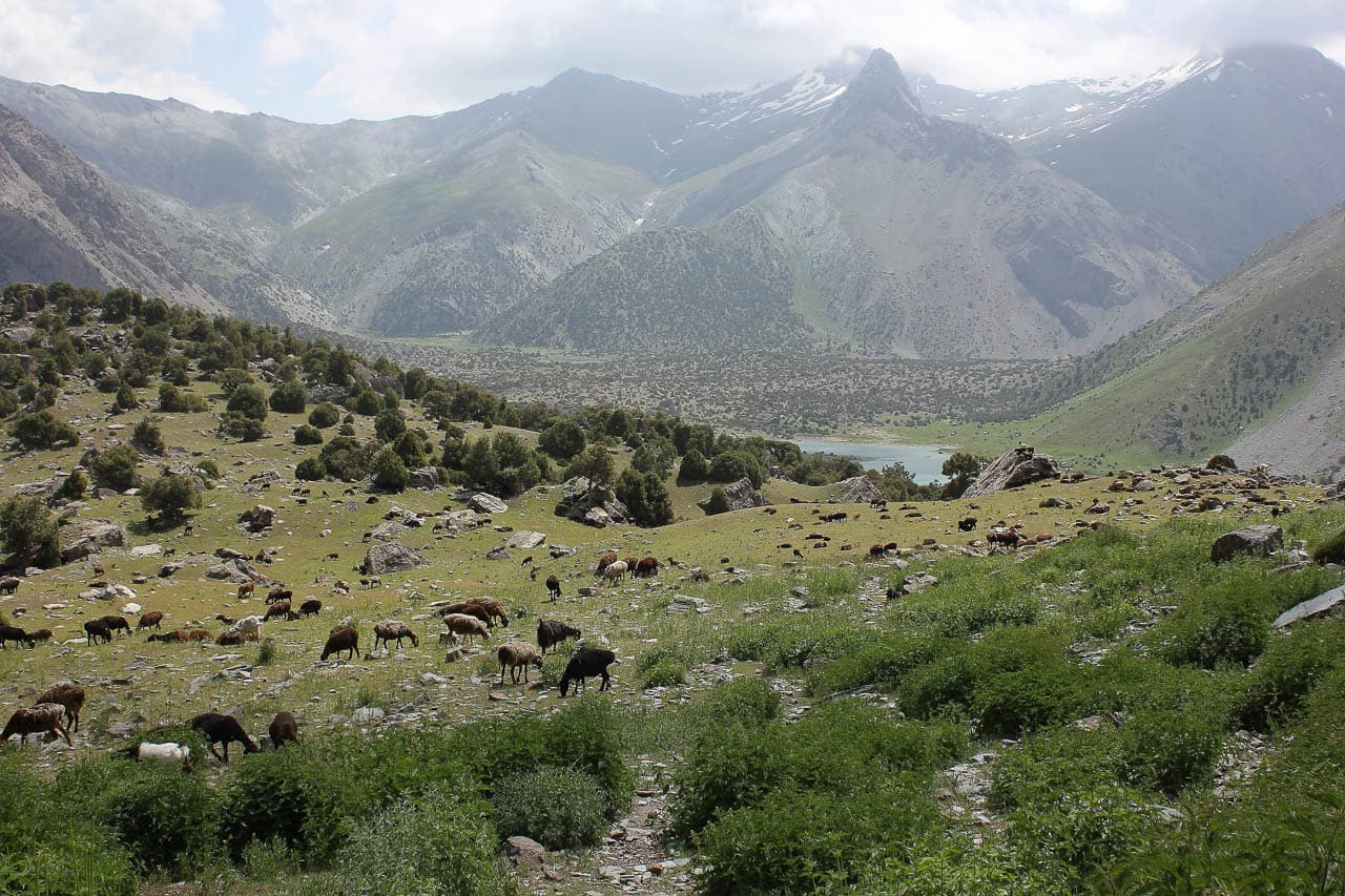 Mutsaerts Dirk IMG 7828 Dirk Mutsaerts