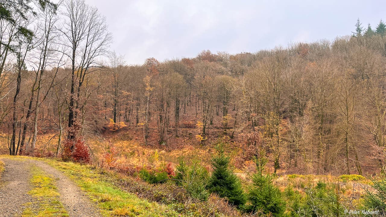 Venntrilogie 12 Ysebaert Peter Peter Ysebaert W1280