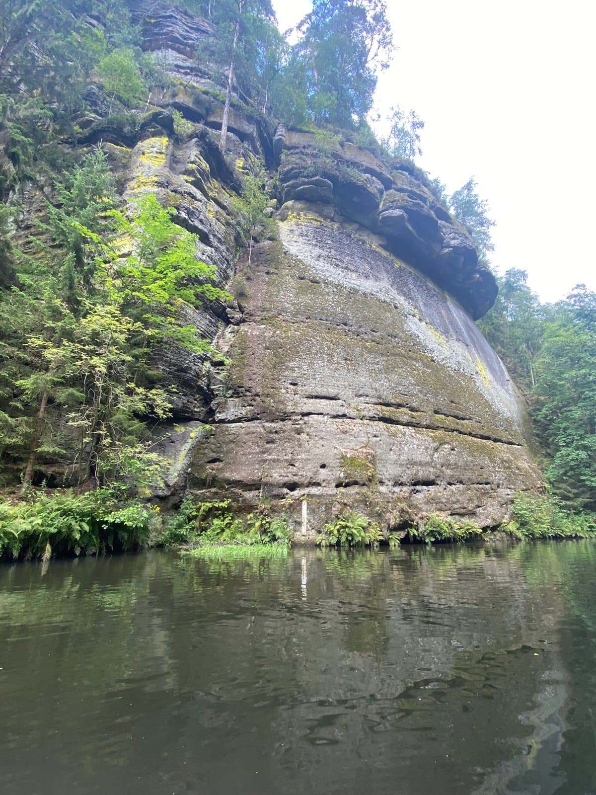 IMG 0683