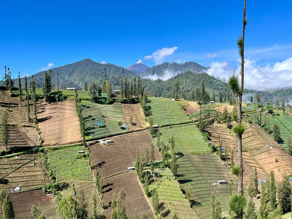 Image00012 Selectie Eveline Eveline Claes W950