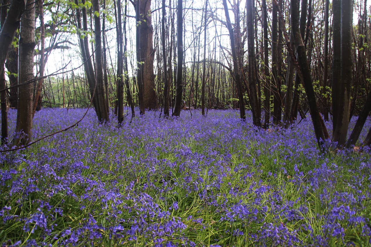 GB1KTS 2025 Jan Buysse Kent IMG 3402 Jan Buysse