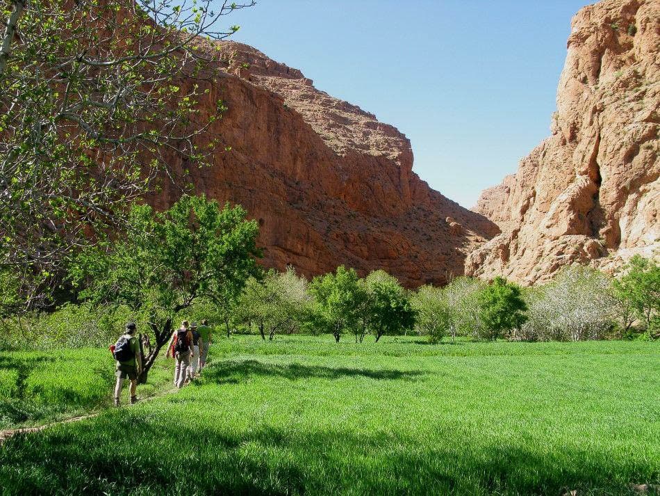 Boelens Filip 1 MA5CHB Filip Boelens W950