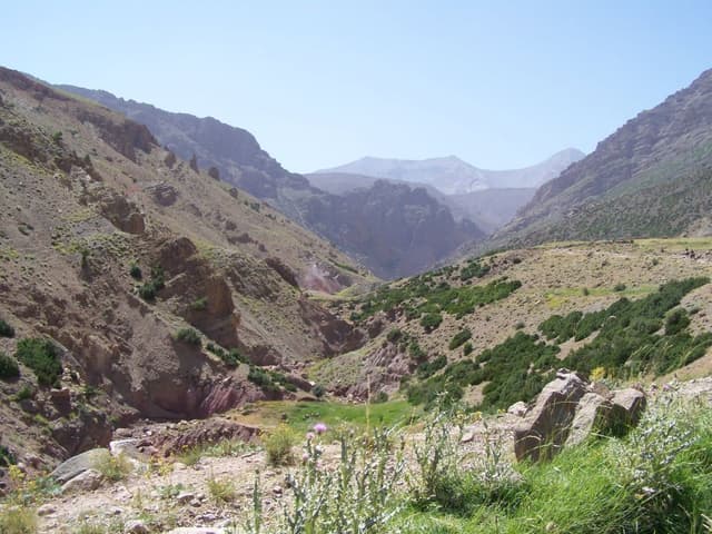 Atlas-O-W-Carlo-Borgers-09-reeks1-036_export