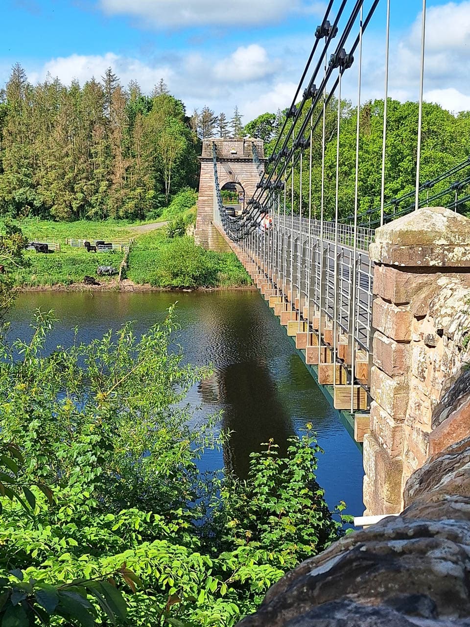 Selectie 20240520 094954 Willy Stoelzaet