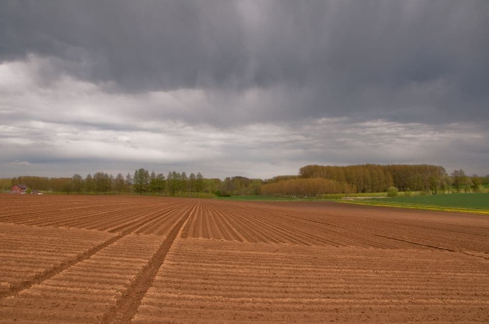 2012 04 29 AR Borgloon 043B Chris Derynck Export W950