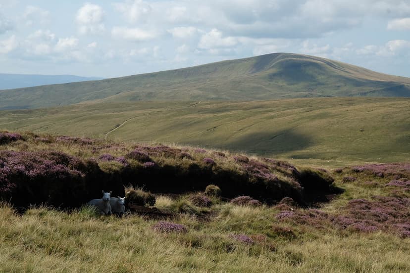 Maarten Caversoons DSCF5939 Maarten Caversoons