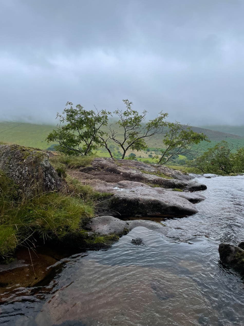 Image00029 Selectie Kristel De Gauquier W950