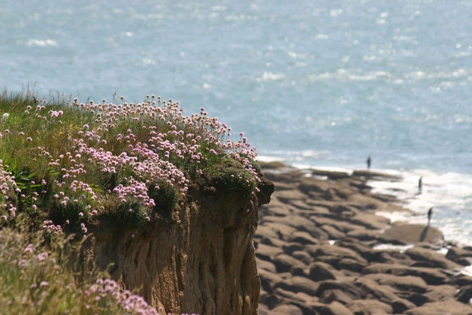 IND1022 Cote Dopale Patrick Sterckx 15Wan3 Export