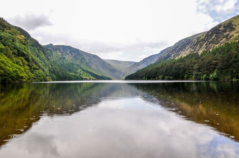 DSC_9368_export_w950 (2)