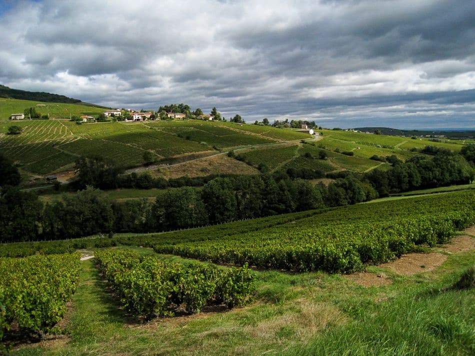 Beaujolais-Johan-Vandueren-IMG_1144_export_w950
