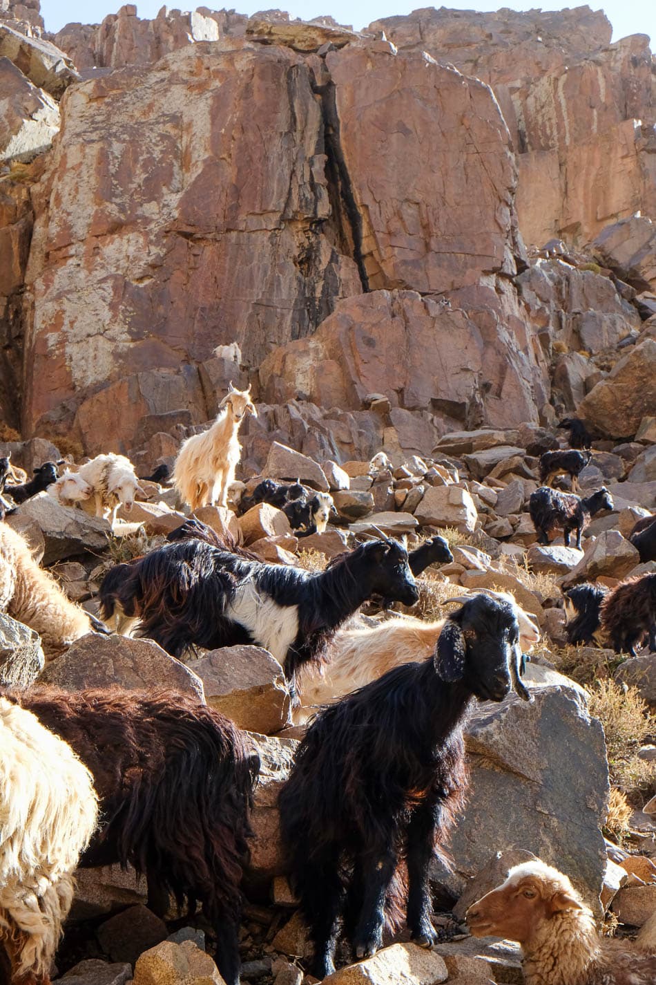 DSCF4919 Selectie Maarten Caversoons W950