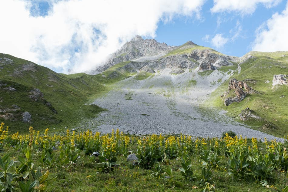 20210805-DSCF7952-Selectie-Karin Warnant-w950