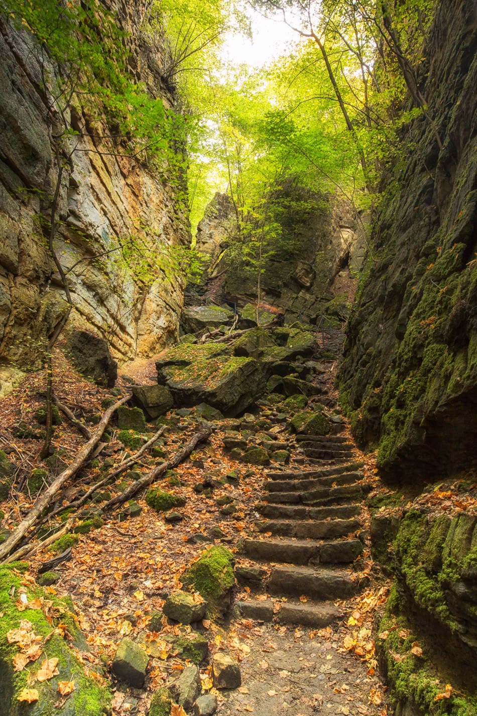 Echternach Wollefsschlucht (C) Th. Bichler.De (6) Marianne Origer LU5MTA Marianne Origer W950