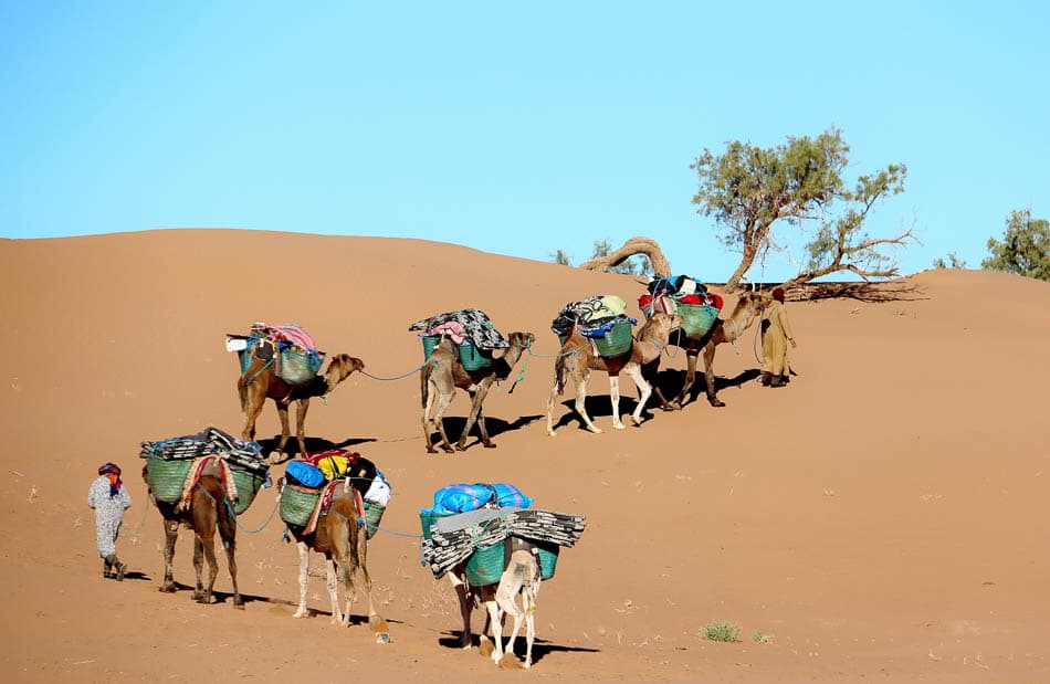 Sahara (34) Arne Vanwijnsberghe Arne Vanwijnsberghe W950