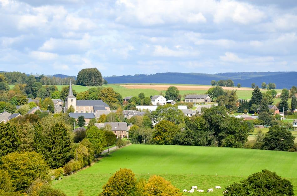 Ortho - FTLB PWillems_export_w950