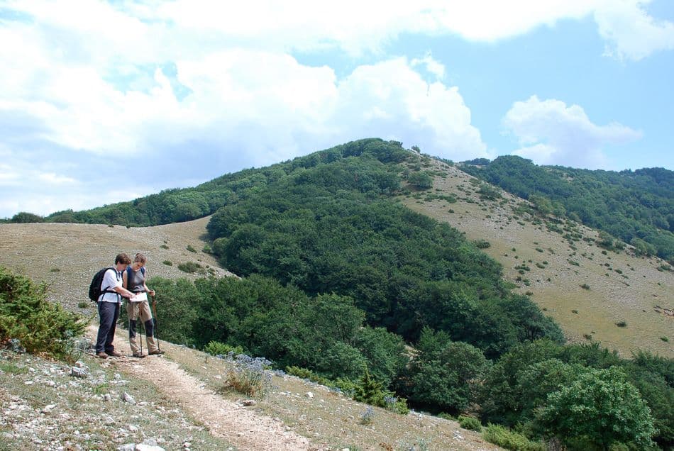 going_to_Fienile_di_Orazio_export_w950