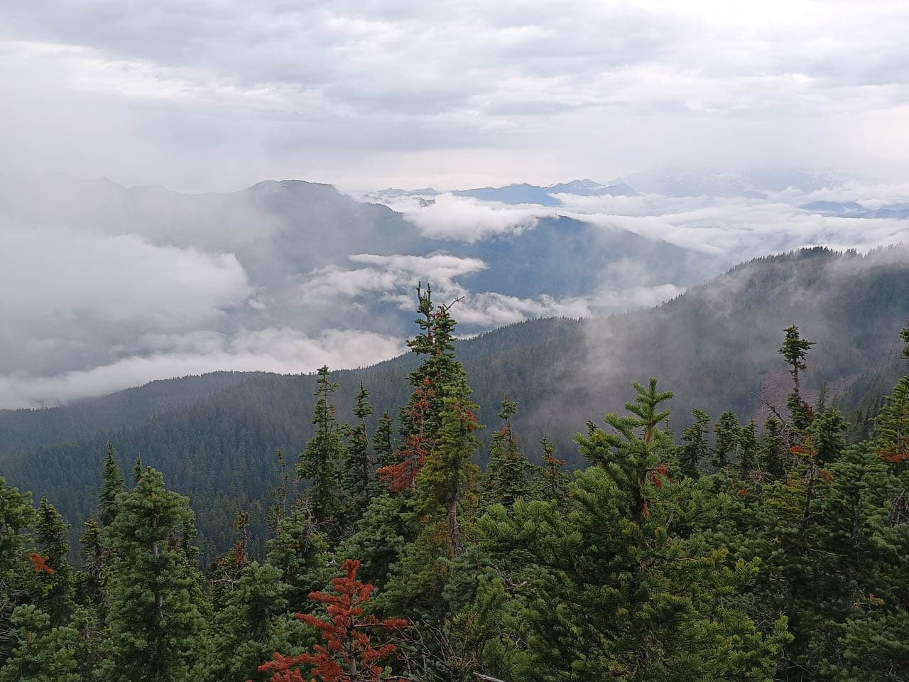 Foto's IMG 20240822 190057317 Olivier Van Hoey