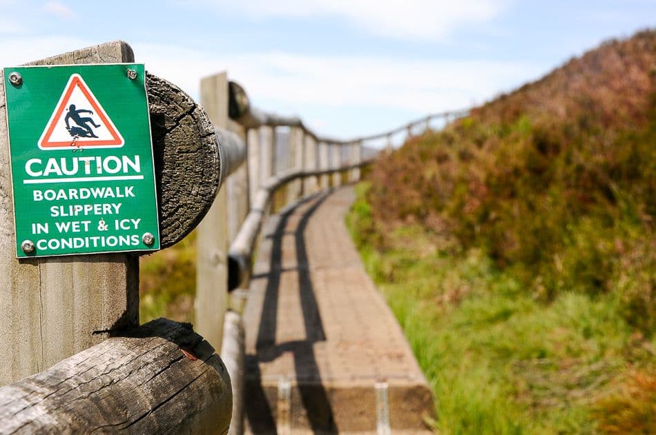 DSC_9604_export_w950 (2)