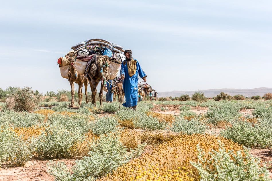 Fotos-Marokko-112-IMG_1745_export_w950