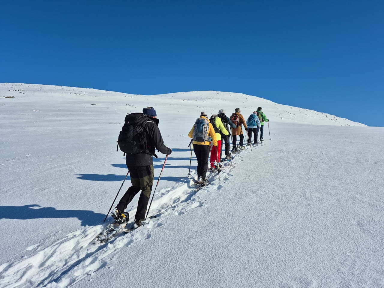 Selectie 20250312 121432 Edwin Vriesema