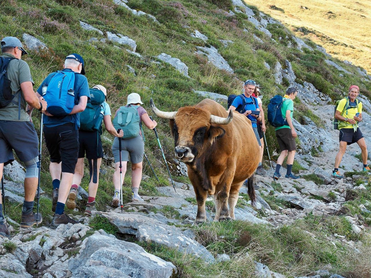 Selectie P9179221 Tom De Borger