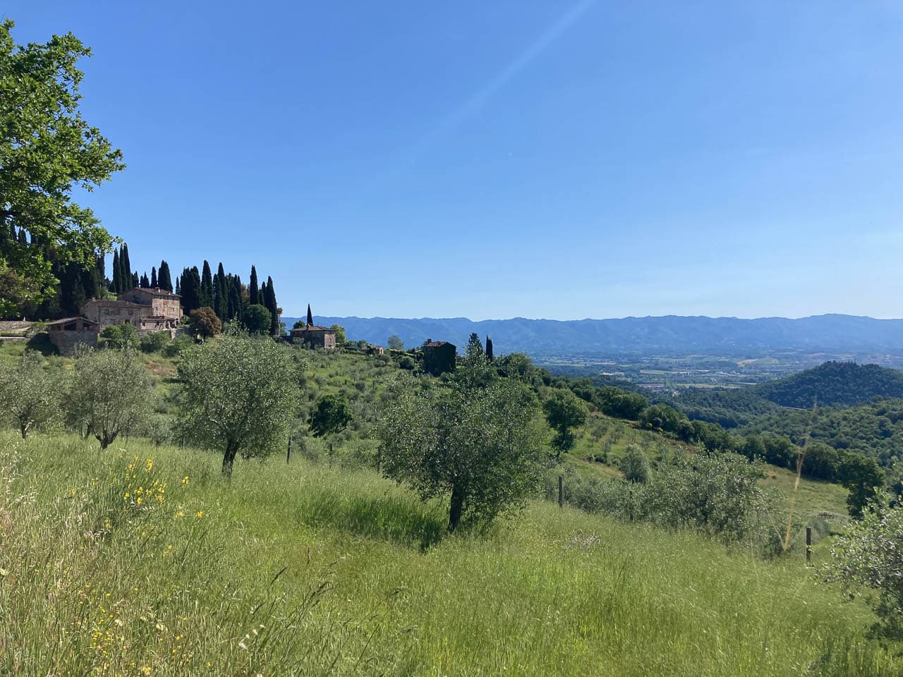 Selectie IMG 1014 Anna Mertens