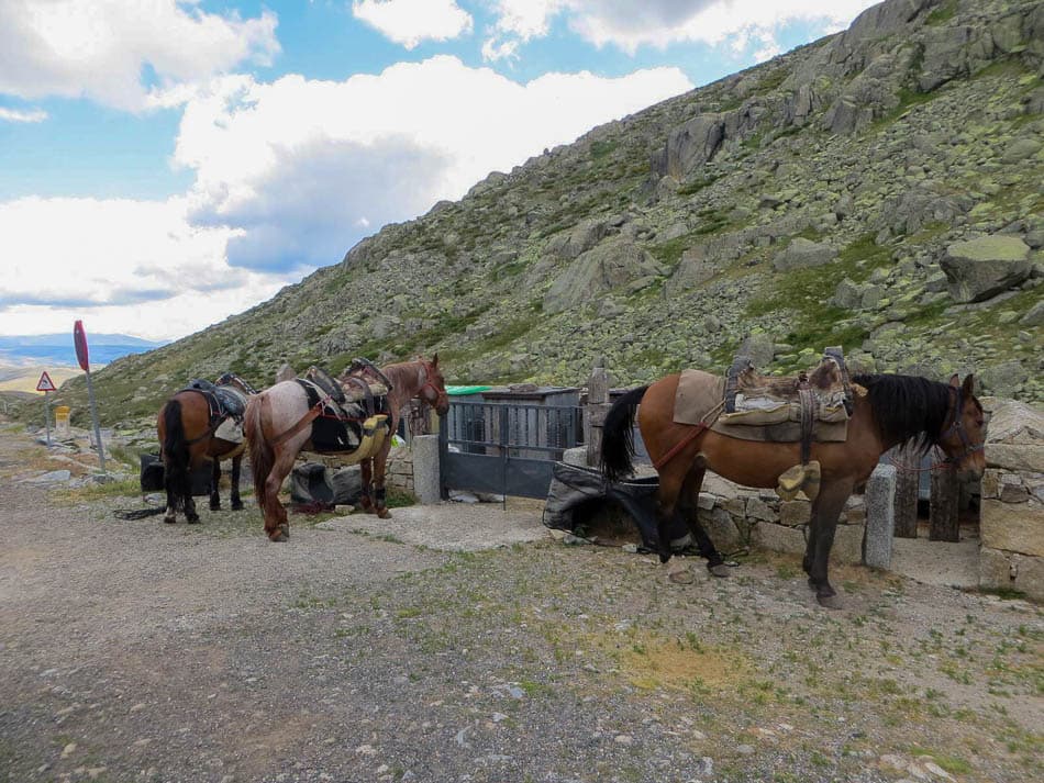 6 MOrezon transport to Laguna Grande refuge-xxx--w950