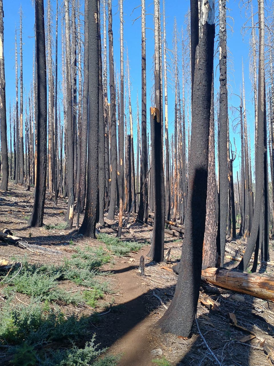 Foto's IMG 20240710 101048822 HDR Olivier Van Hoey