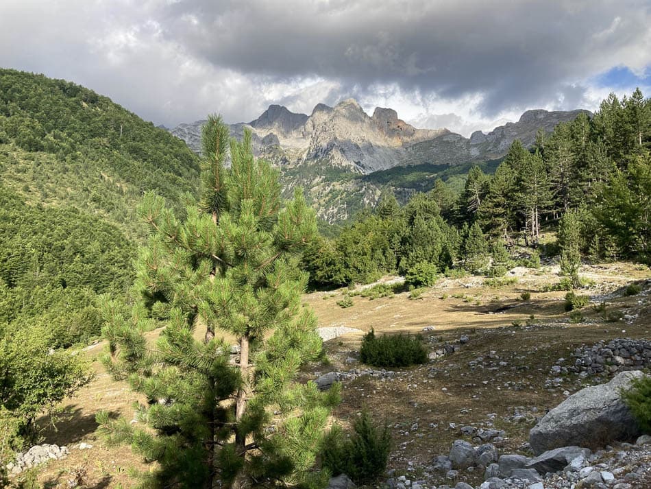 thumbnail_IMG_8156-AL1AAB-Myrthe Felten-w950