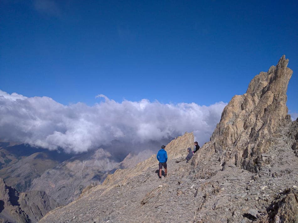 IMG_20210828_101339_1_Olivier van Hoey_w950