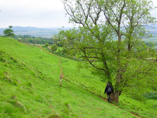 IND13-45 Cotswolds 07 Anna Mertens 12_export_w950