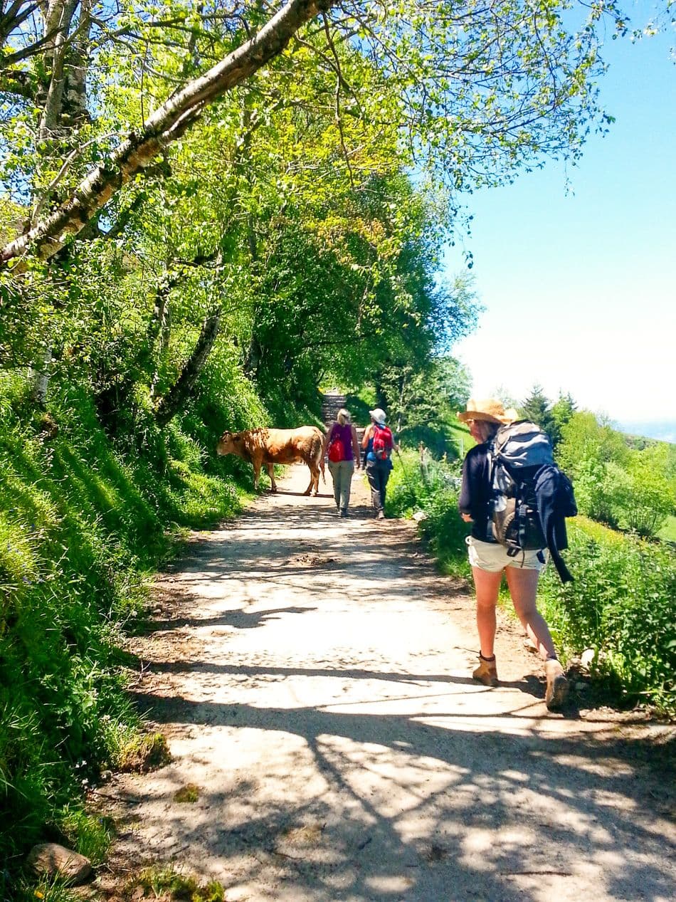 20130612_141341Camino_2013_101-Kevin-Maes_export_w950