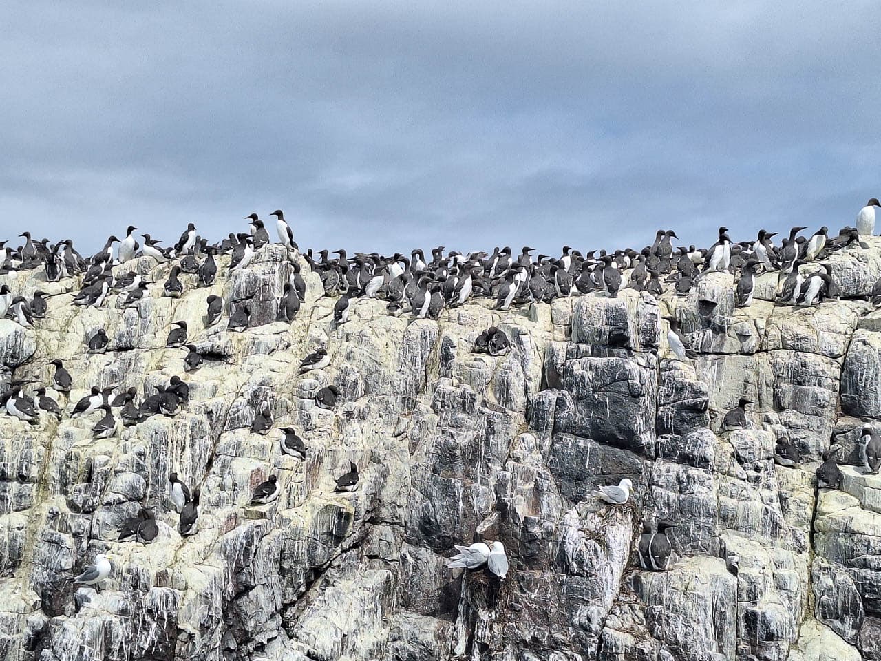 Selectie 20240524 122231 Willy Stoelzaet