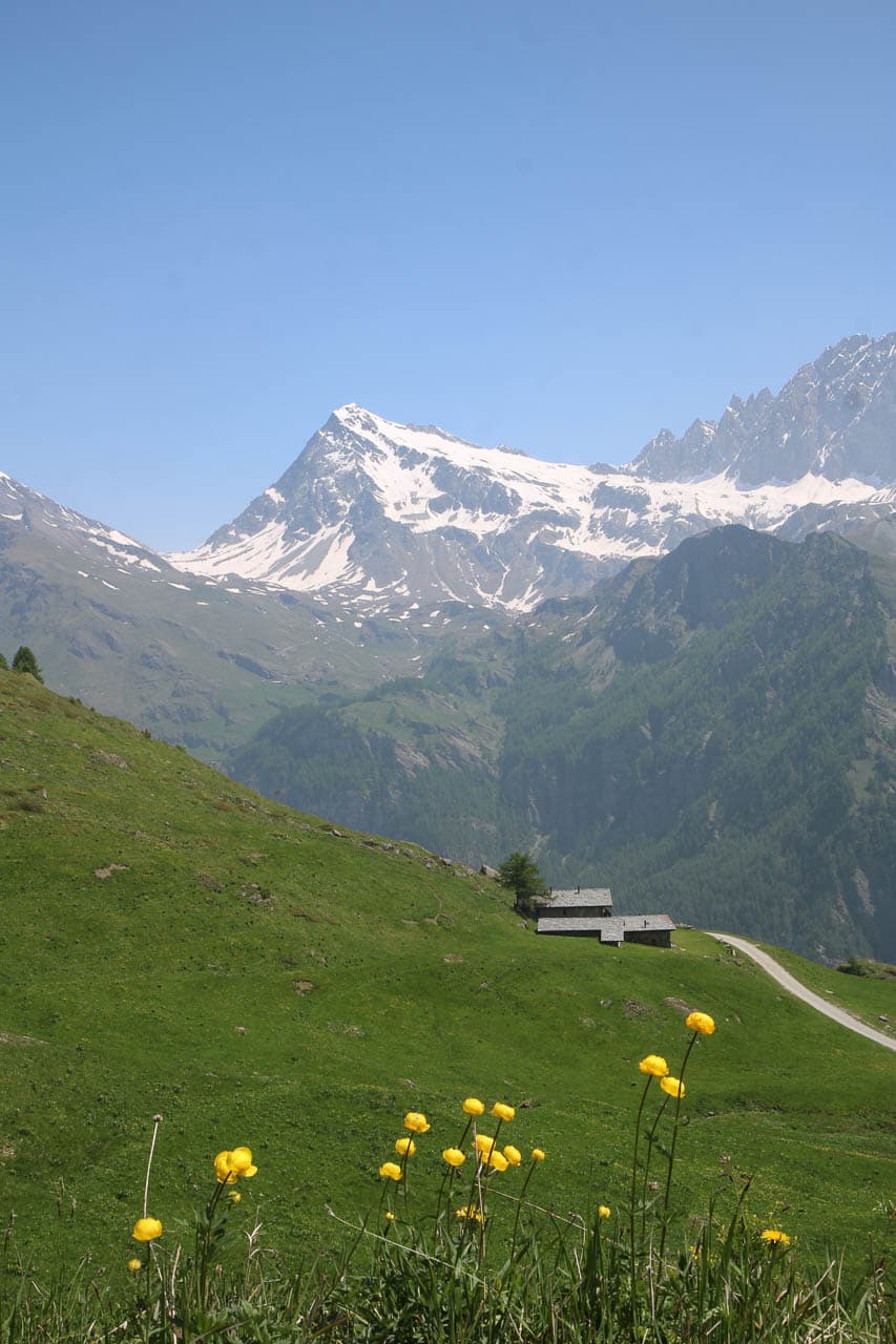 Jan Van Brabant IMG 0565 Jan Van Brabant