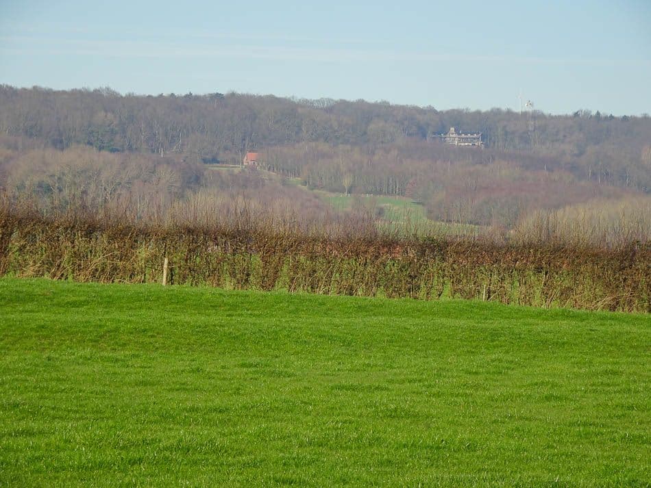 DSC00908_Johan Van Malderen_w950