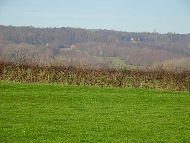 DSC00908_Johan Van Malderen_w950