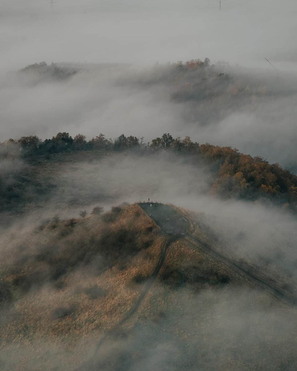 beringen-tris-2-michiel-pieters-michiel-pieters-w950