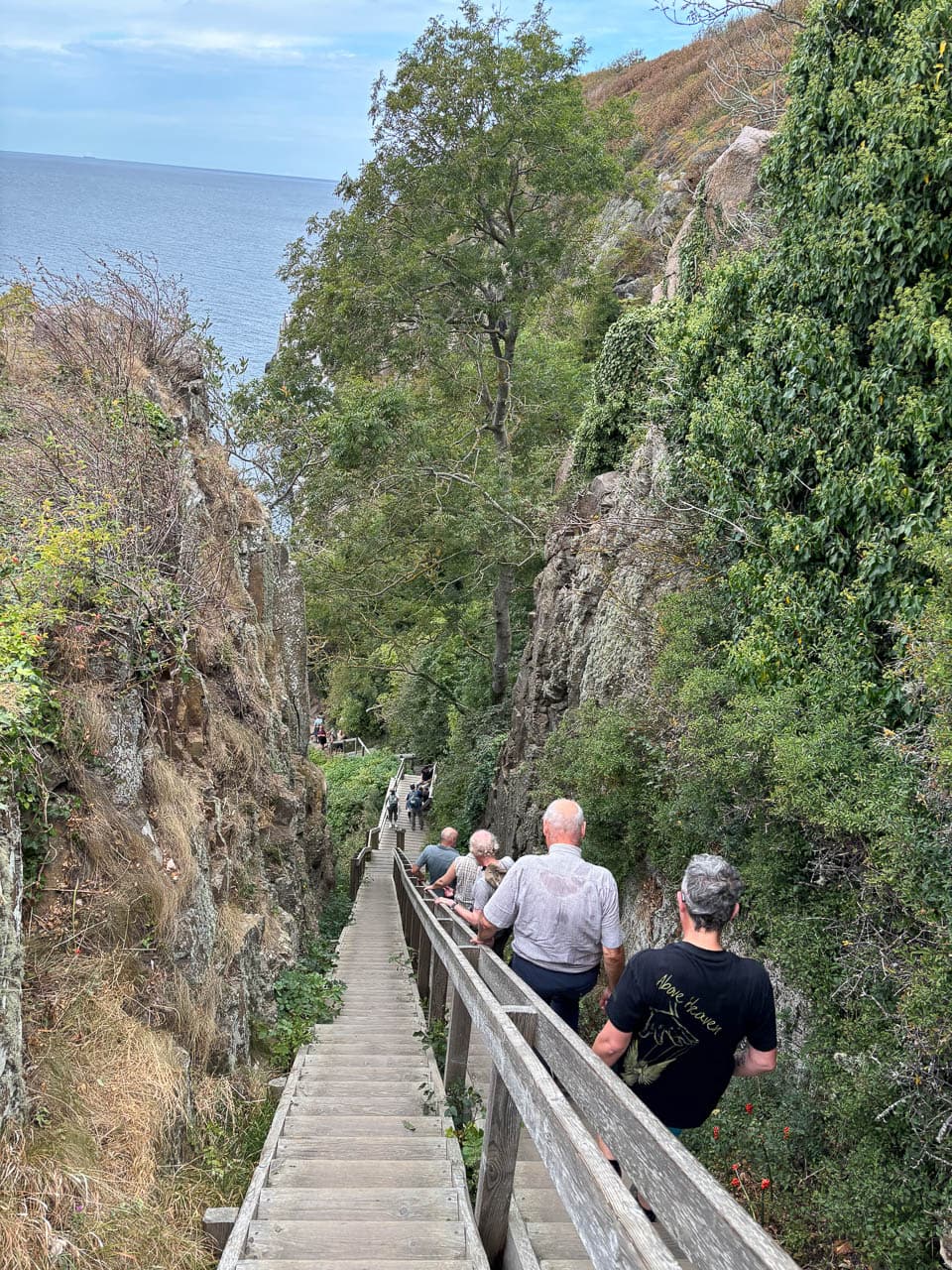 Katrien Boon IMG 4074 Katrien Boon