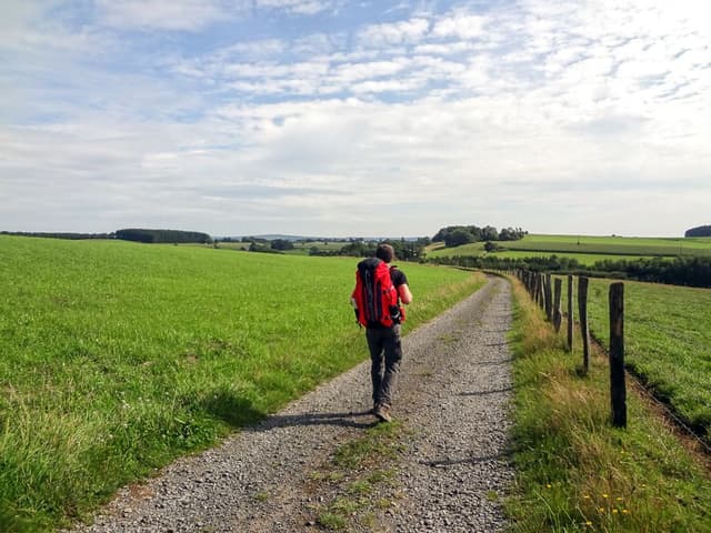 Randonneurs-Transardennaise - TEXTO PWillems 4_export_w950