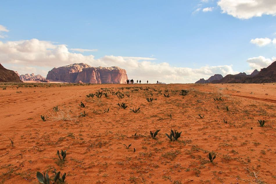 Wadi-Rumtrekking-14-Arne-Van-Wijnsberghe-Wadi-10_export_w950