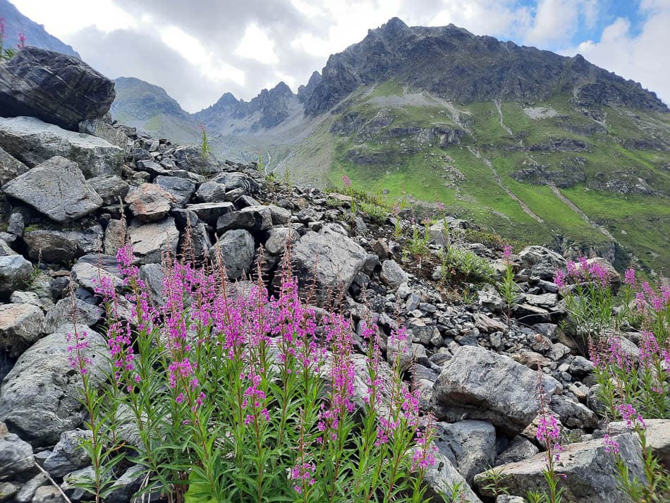 AT1SVA Davy Acke_20220727_162201_Davy Acke_w950