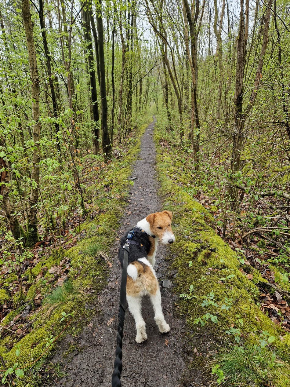 20230417_131227-NL5DMA Schrumpf Mirjam-Mirjam Schrumpf-w950