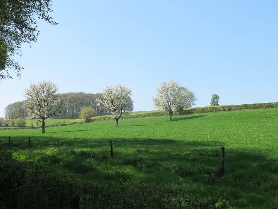 Voeren 13 Robert Clabots IMG_0886_Robert Clabots_w950