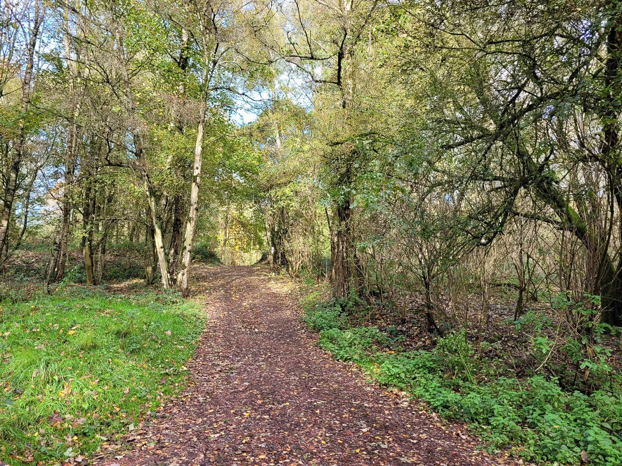 20231107 121751 Caja GR W1280