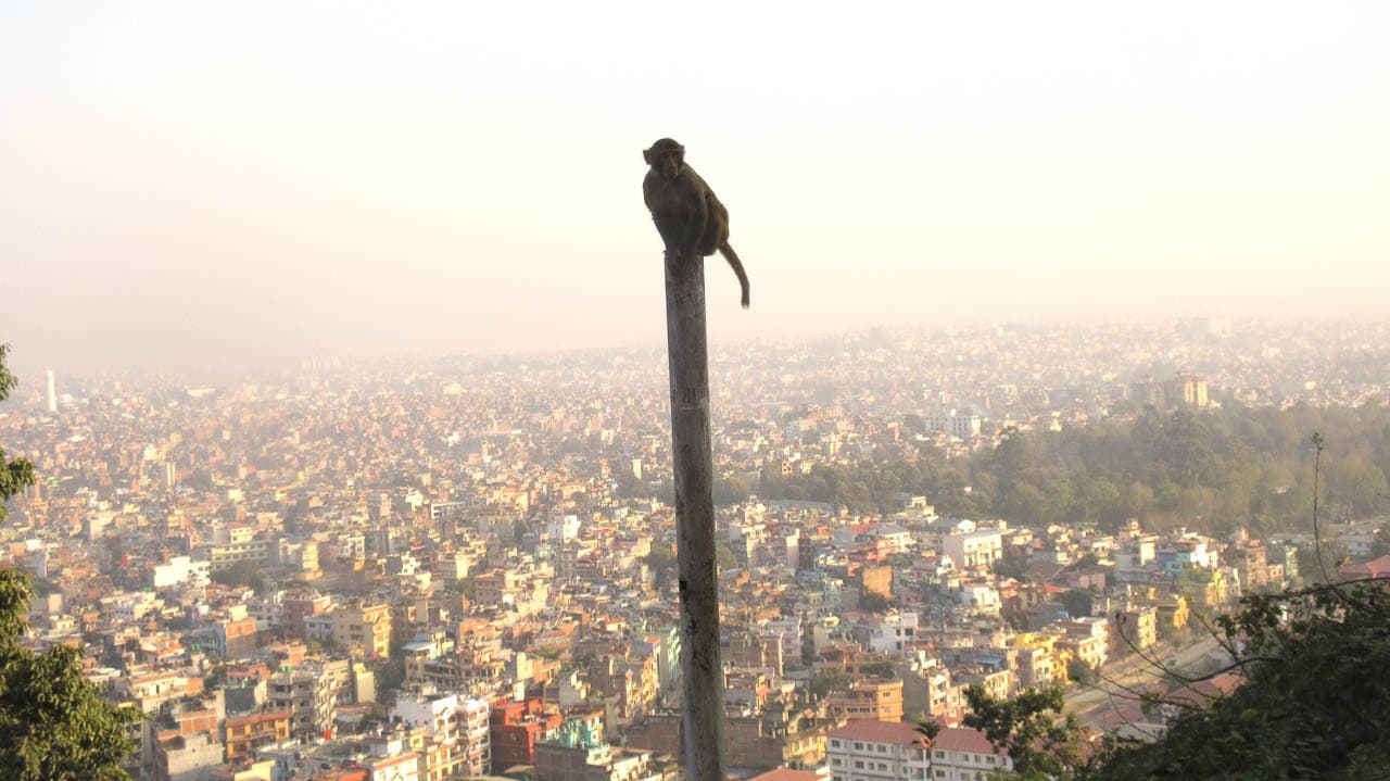 Selectie Swayambudnath 4 Betty Moureaux